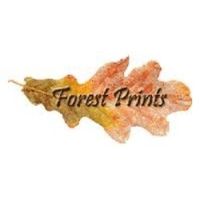Forestprints Design coupons